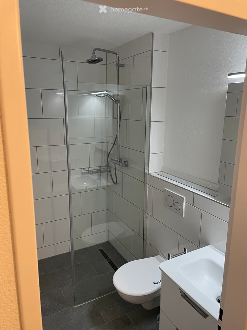 Modern bathroom with a glass-enclosed shower, toilet, and sink. The shower features a handheld sprayer and a fixed overhead showerhead. The sink is mounted on a white cabinet with a sleek design.