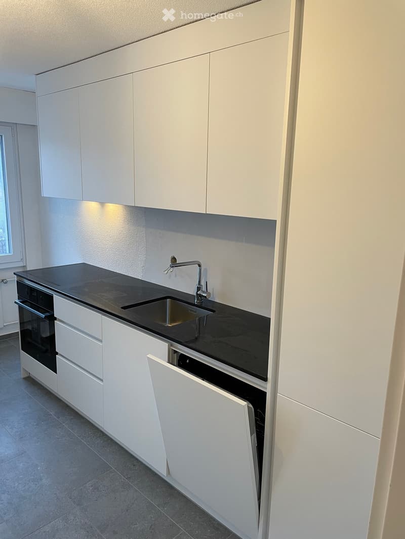 Modern kitchen with white cabinets, black countertop, stainless steel sink, and built-in oven.