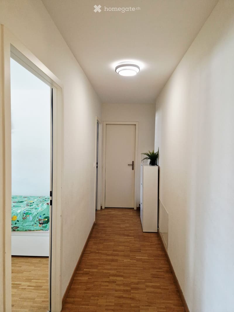 A narrow hallway with wooden flooring, white walls, and a ceiling light. A closed door is visible at the end, and a small cabinet with a plant sits on the right side.