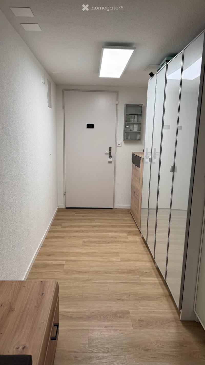 Clean, modern hallway with light wooden flooring, white walls, and recessed lighting. Features a closed door, a mirrored wardrobe, and a small cabinet with drawers.