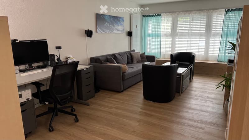 A modern living room with a grey sofa, a black armchair, a coffee table, a desk with a computer, and a potted plant near the window.