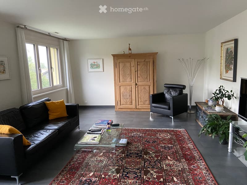 Modern living room with a black leather sofa, armchair, coffee table, and a large area rug. Features large windows with white curtains, a wooden cabinet, and decorative plants.