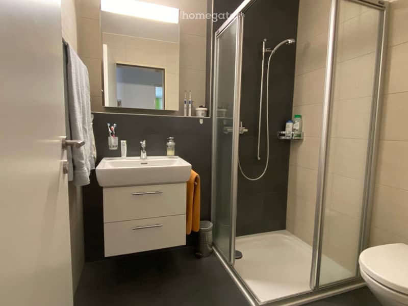 Modern bathroom with a white sink, mirror, glass shower enclosure, and a toilet. Includes a towel, toothbrush holder, and a small shelf in the shower area.