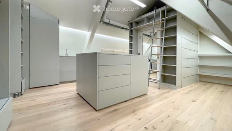 An empty attic room with wooden flooring, white walls, built-in storage units, and a ladder leading to the loft area.