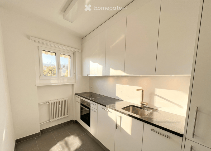 Modern kitchen with white cabinets, dark countertops, stainless steel sink, and built-in oven. Features a window with a view of trees and a radiator below.