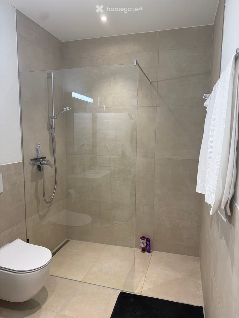 Modern bathroom with a toilet, glass-enclosed shower, towel rack, and sleek fixtures.