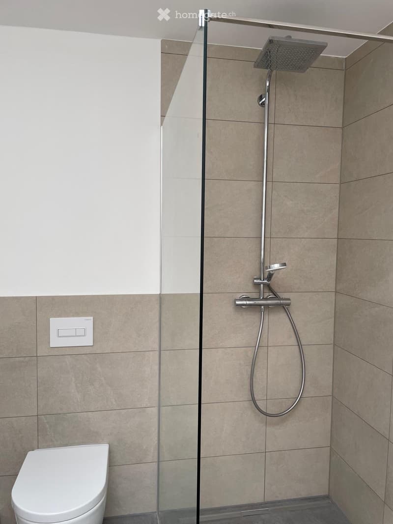 Modern bathroom with a toilet, glass-enclosed shower area, and a handheld showerhead with control valves.