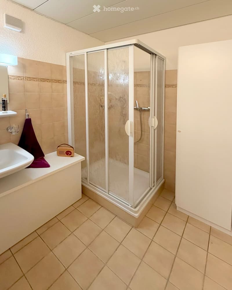 Bathroom with a shower stall, sink, and a towel on the counter.