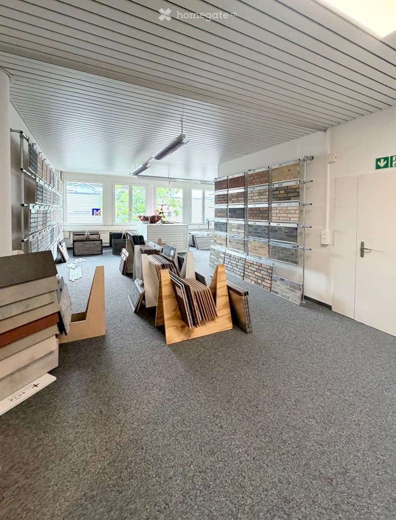 Empty showroom with grey carpeted floor, white walls, large windows, and display racks holding various tiles and materials.