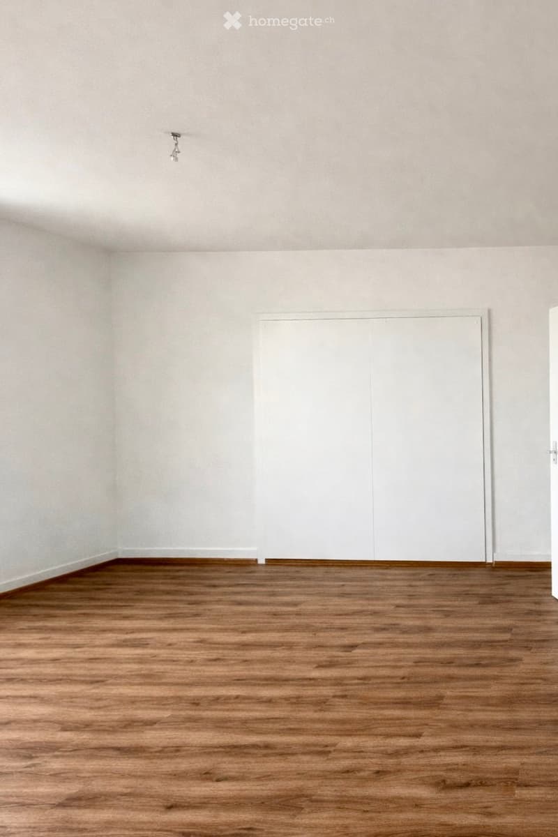 Empty room with wooden flooring and white walls, featuring a single white door and a light fixture on the ceiling.