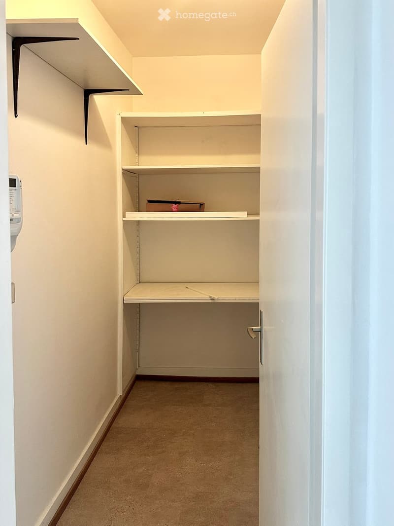 Empty closet with white walls, beige carpet, and built-in shelves. A small box is placed on one of the shelves.