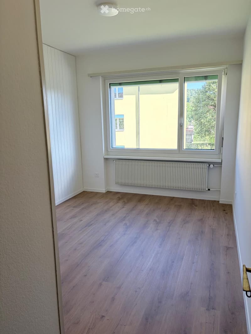 Empty room with light wooden flooring, white walls, a large window with a radiator below, and a white ceiling light fixture.