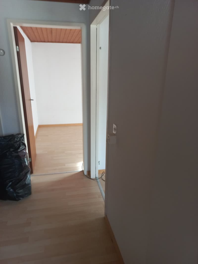 Empty hallway with wooden floor, white walls, two doors.
