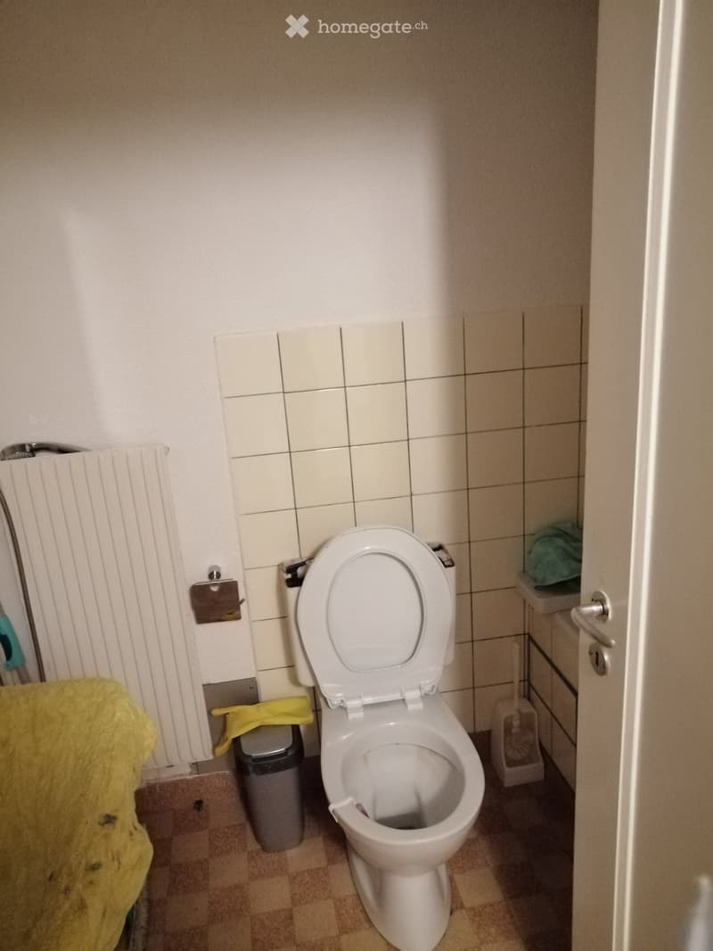 Toilet, trash bin, white tiles, radiator