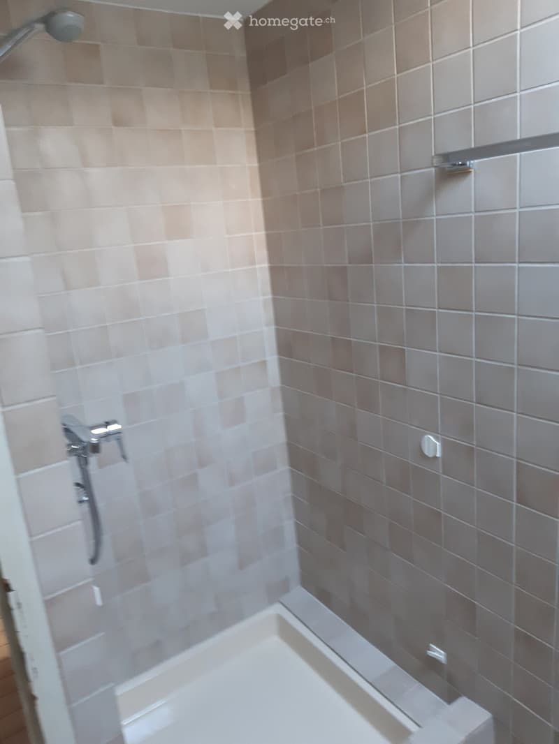 Bathroom with tiled walls, shower area, and a shower head.