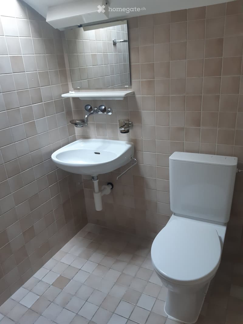 small bathroom with white toilet, white sink, mirror, tiled walls and floor