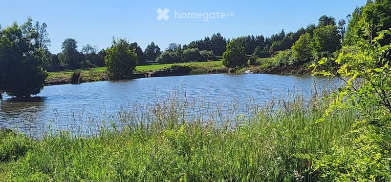 A serene outdoor area featuring a calm body of water surrounded by lush greenery and trees, with a clear blue sky overhead.