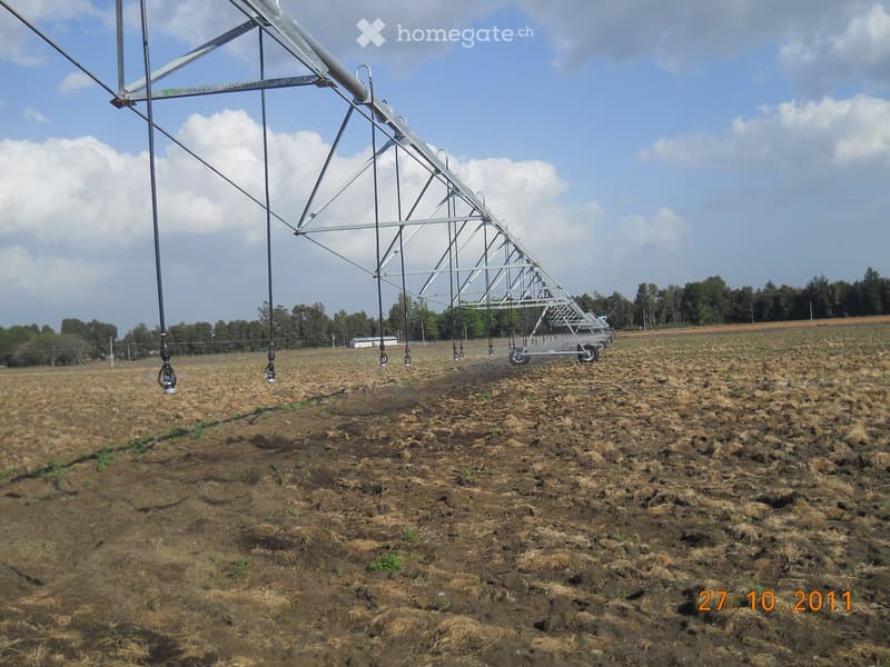 Agricultural field with irrigation system, dry soil, sparse vegetation, and distant trees.