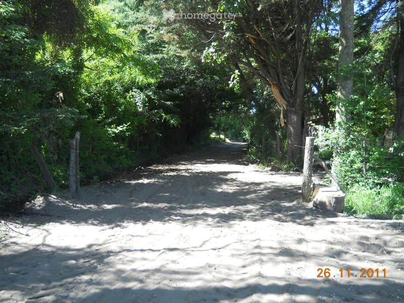 A sandy pathway surrounded by dense green trees and foliage, with a wooden post on the right side.