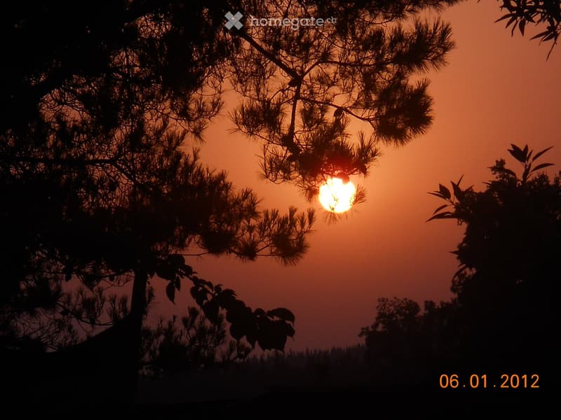 A serene sunset scene with silhouettes of trees and branches against an orange sky, with the sun partially obscured by foliage.