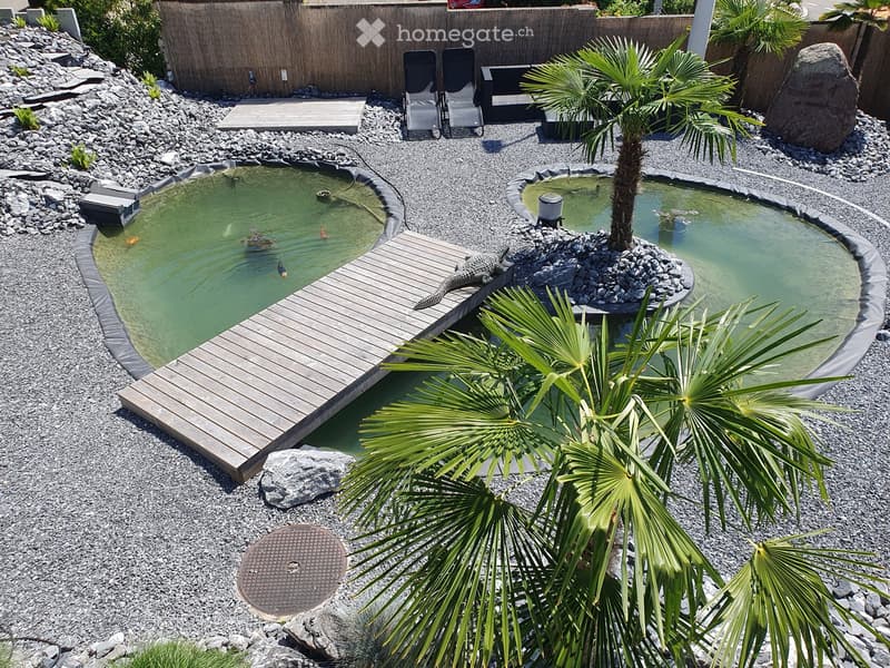 Garden area with two small ponds, surrounded by rocks, gravel, and palm trees. Includes a wooden deck, lounge chairs, and a small crocodile near one pond.