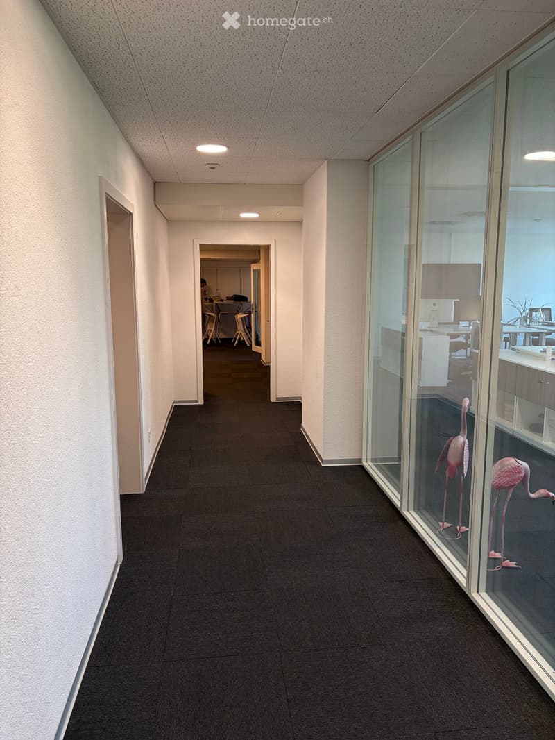 Modern hallway with dark carpet, white walls, glass partitions, and visible office spaces beyond.