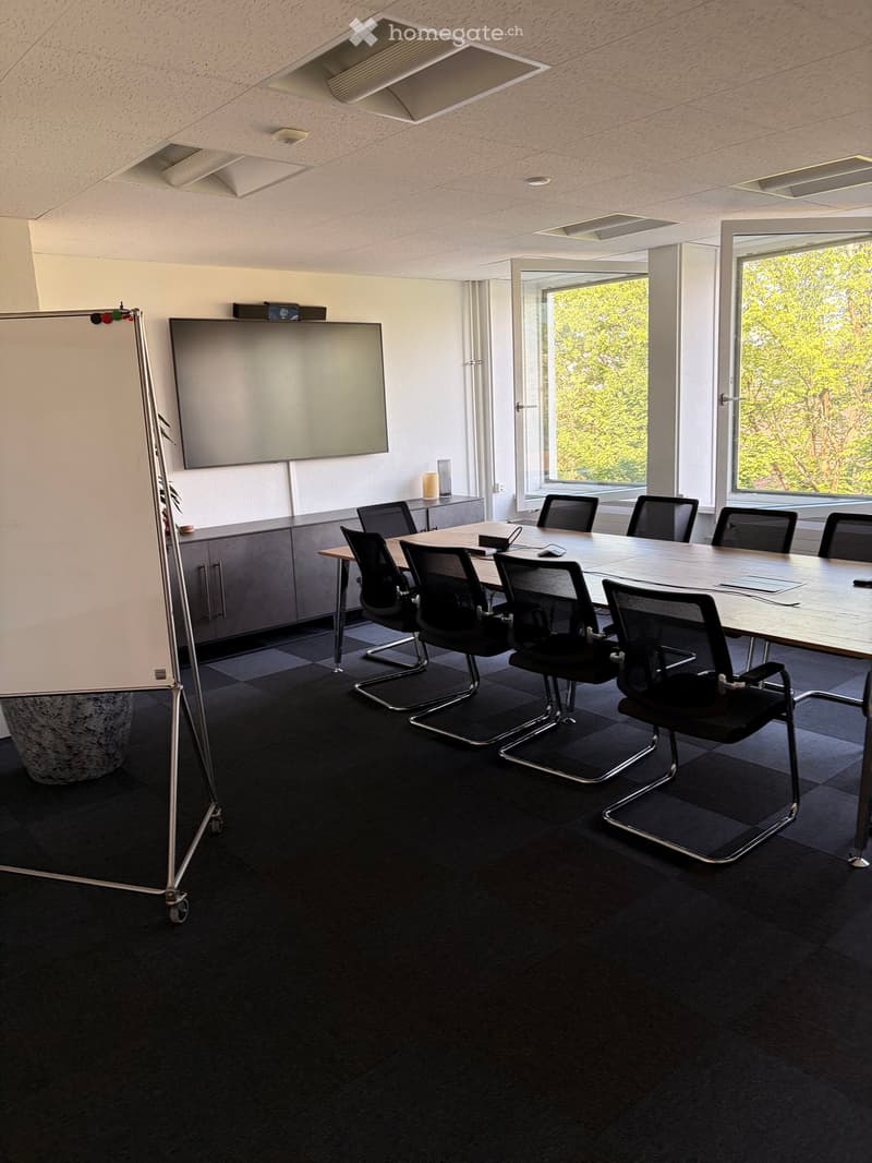 Modern conference room with a large rectangular table surrounded by black office chairs, a large screen mounted on the wall, and a cabinet with a small speaker on top. The room has large windows with a view of greenery outside and a dark carpeted floor.