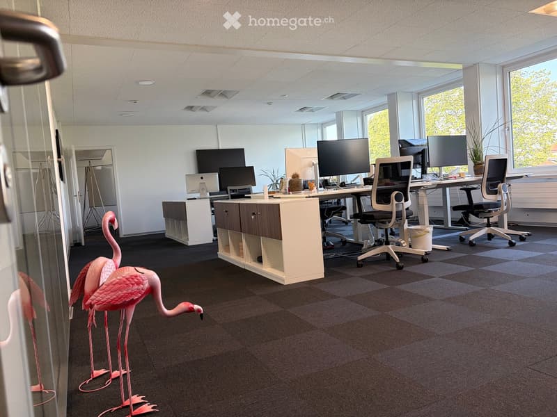 Modern office space with desks, chairs, multiple computer screens, and decorative pink flamingos near a glass wall.