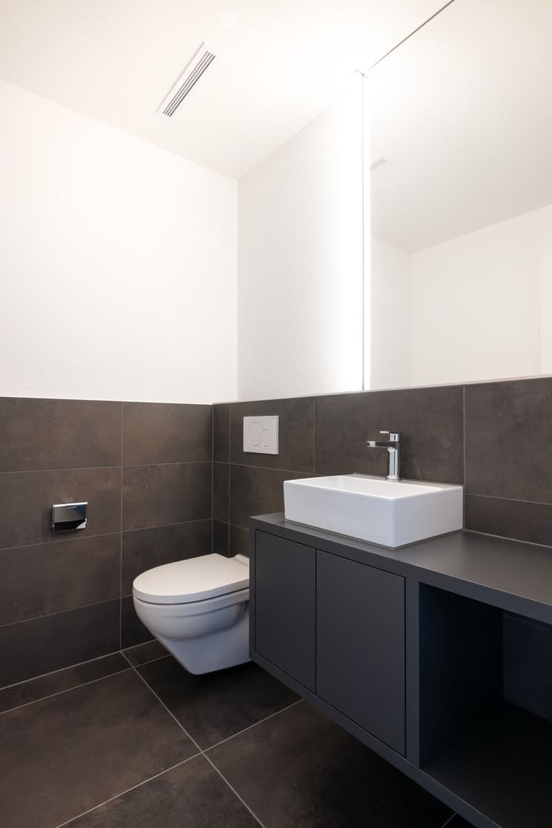 Modern bathroom with dark brown tiles, white toilet, white sink on dark cabinet, and sleek faucet.