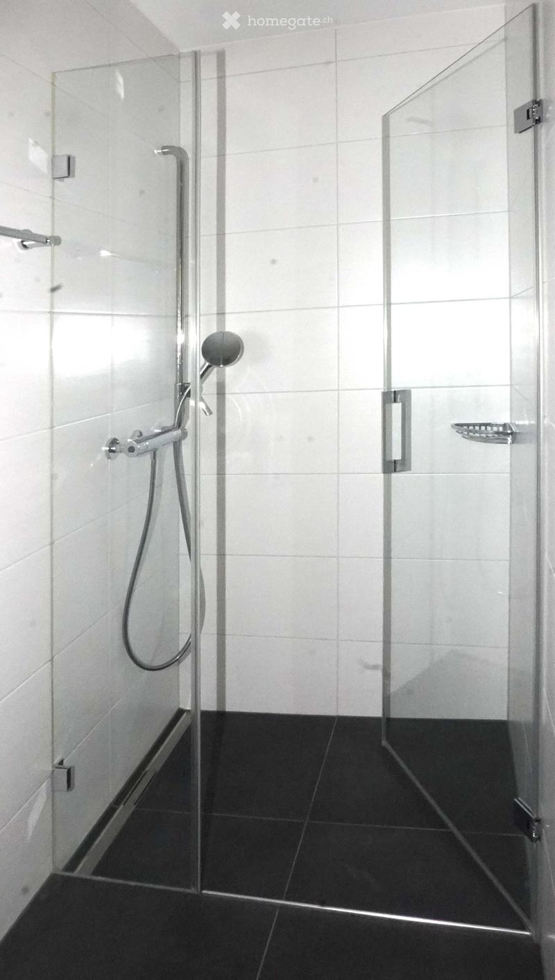 Modern bathroom with a glass-enclosed shower area, black tiled floor, and white tiled walls. Features a handheld showerhead with a hose and a built-in shelf in the shower enclosure.