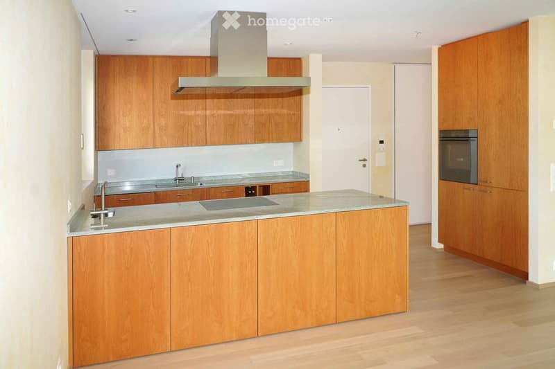 modern kitchen with wooden cabinets, granite countertop, stainless steel appliances, and a range hood