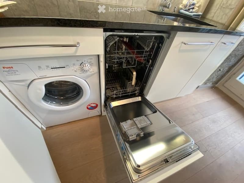 Modern kitchen with a white cabinetry, a stainless steel dishwasher, and a white washing machine. The floor is wooden, and the countertop is black.
