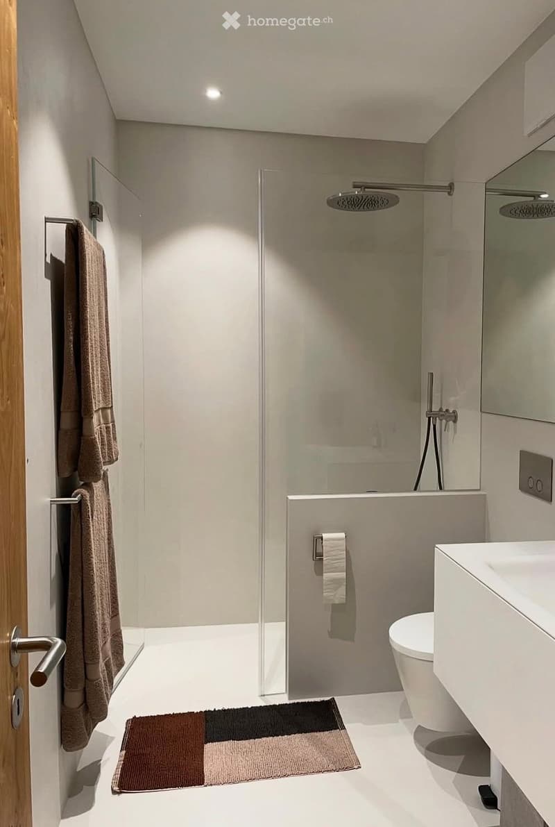 Modern bathroom with a glass-enclosed shower, a toilet, a bathroom cabinet, and a towel rack with towels. The floor has a geometric-patterned rug, and the walls are light-colored.