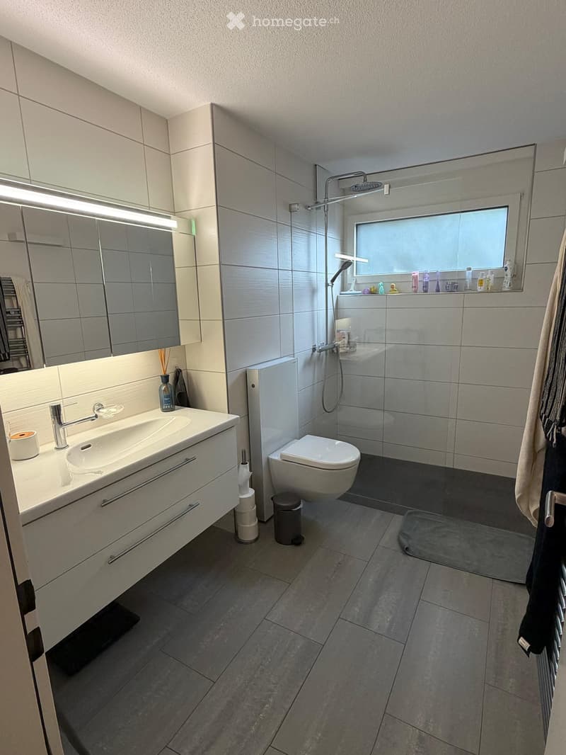 Modern bathroom with a large sink, mirror, toilet, and shower area. Features include a built-in cabinet, a towel rack, and a window above the shower.