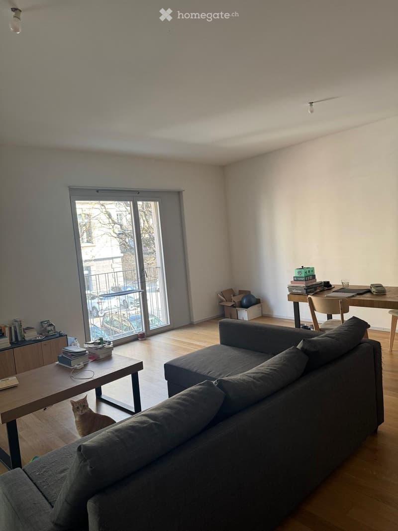 A modern living room with a grey sofa, wooden coffee table, and a cat sitting on the floor. There is a sliding glass door leading to a balcony, and a desk with books and a laptop in the corner.
