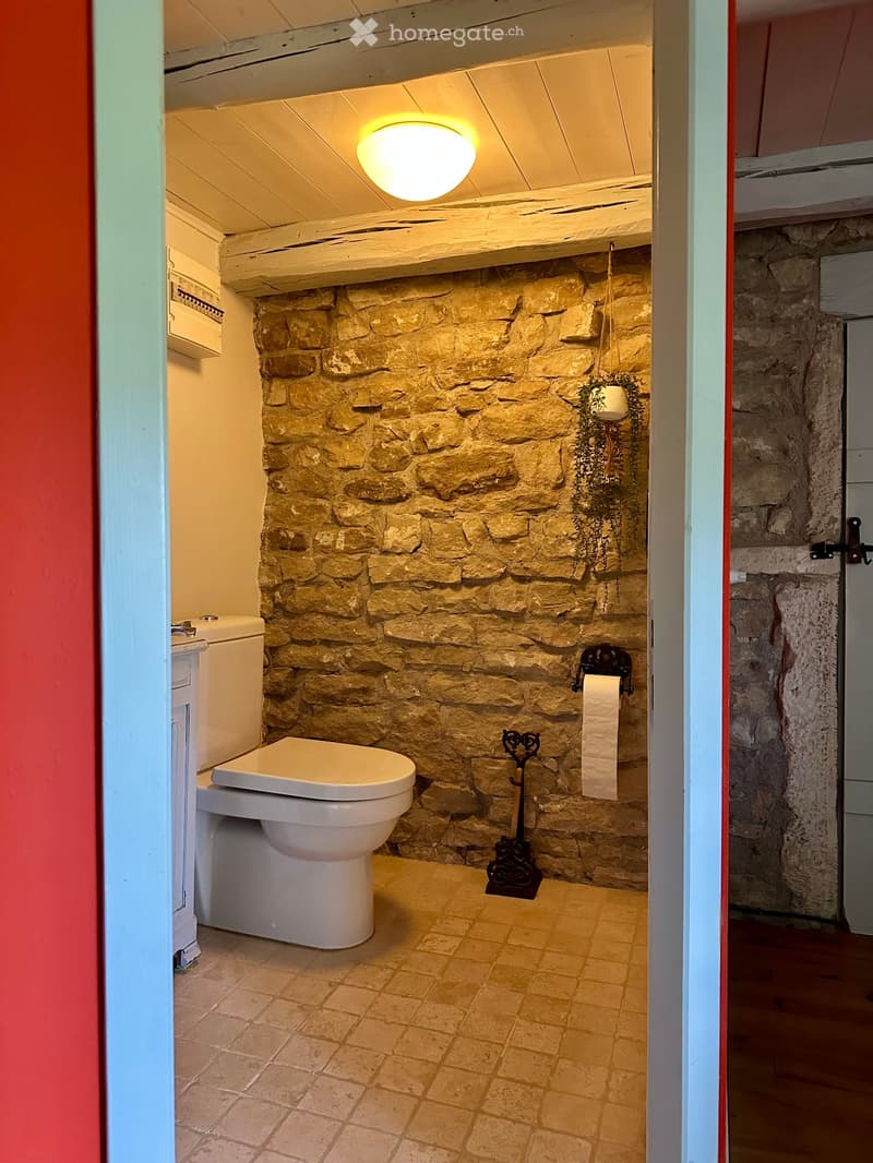 Cozy bathroom with stone walls, a toilet, a toilet paper holder, and a hanging plant. The room features warm lighting and a rustic aesthetic.