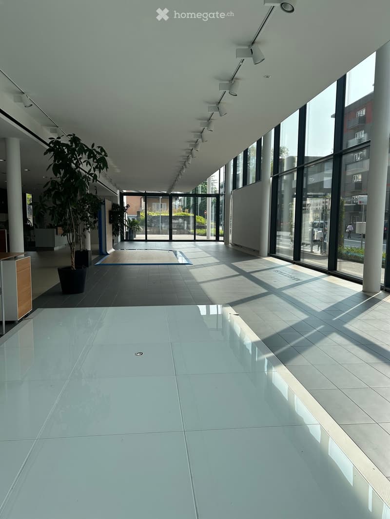 Modern hallway with large windows, polished tile floors, and recessed lighting. Features a potted plant and a small table on the left side.