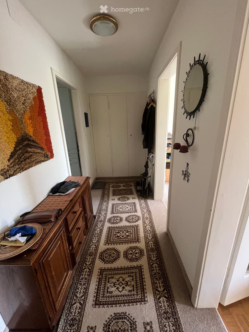 Hallway with patterned rug, wooden cabinet, coat rack, and decorative wall art.