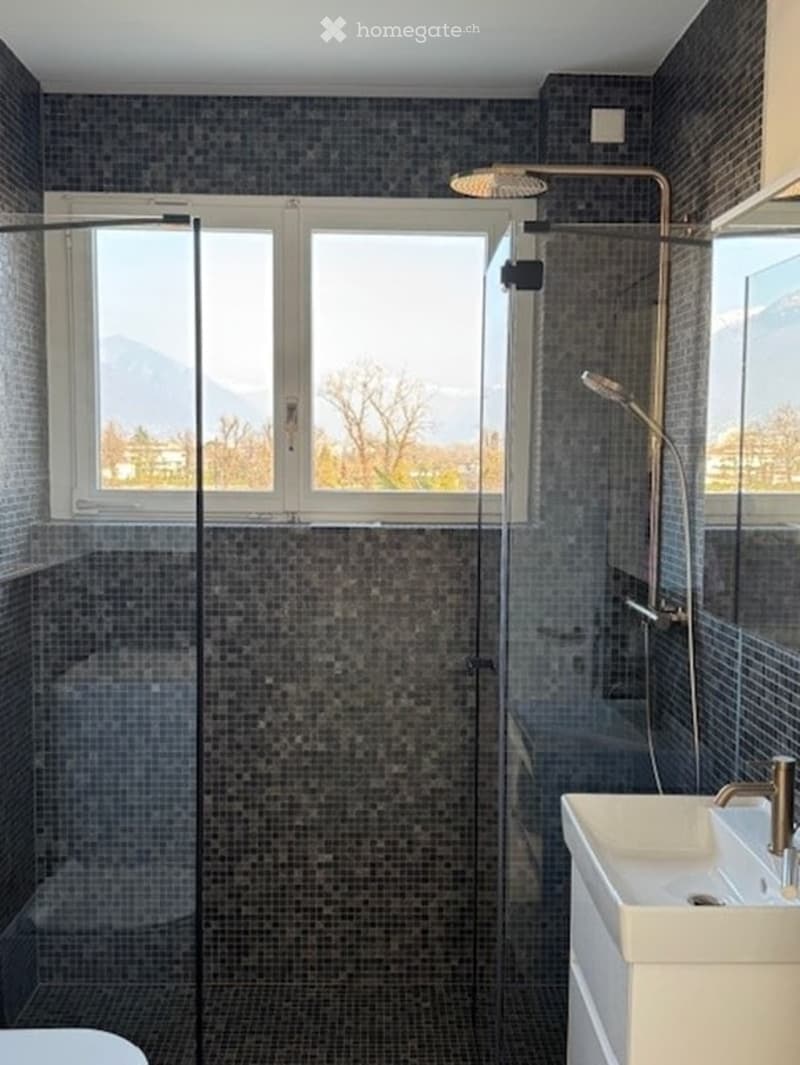 Modern bathroom with dark grey tiles, a glass-enclosed shower, a white sink with a chrome faucet, and a large window offering a scenic view.