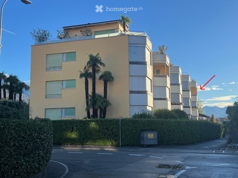 Modern multi-story apartment building with light-colored facade, large windows, and palm trees in front. The building has multiple balconies and a rooftop terrace.