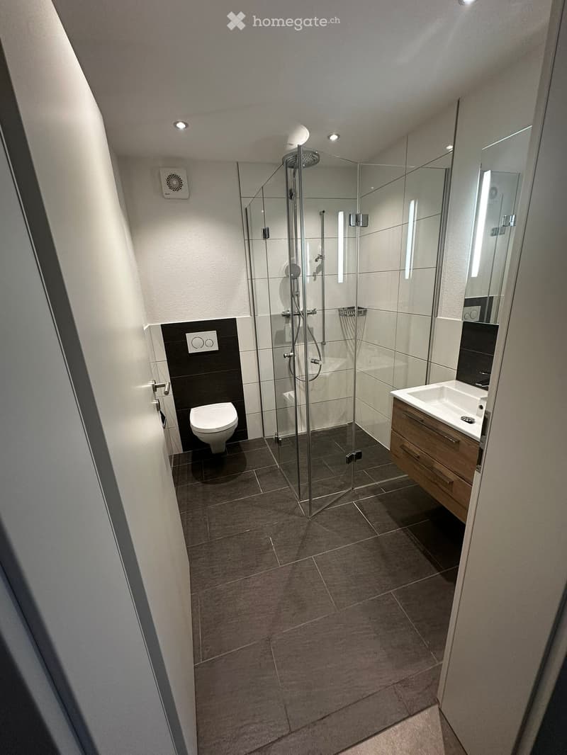 Modern bathroom with a glass-enclosed shower, toilet, sink with wooden cabinet, and built-in lighting.