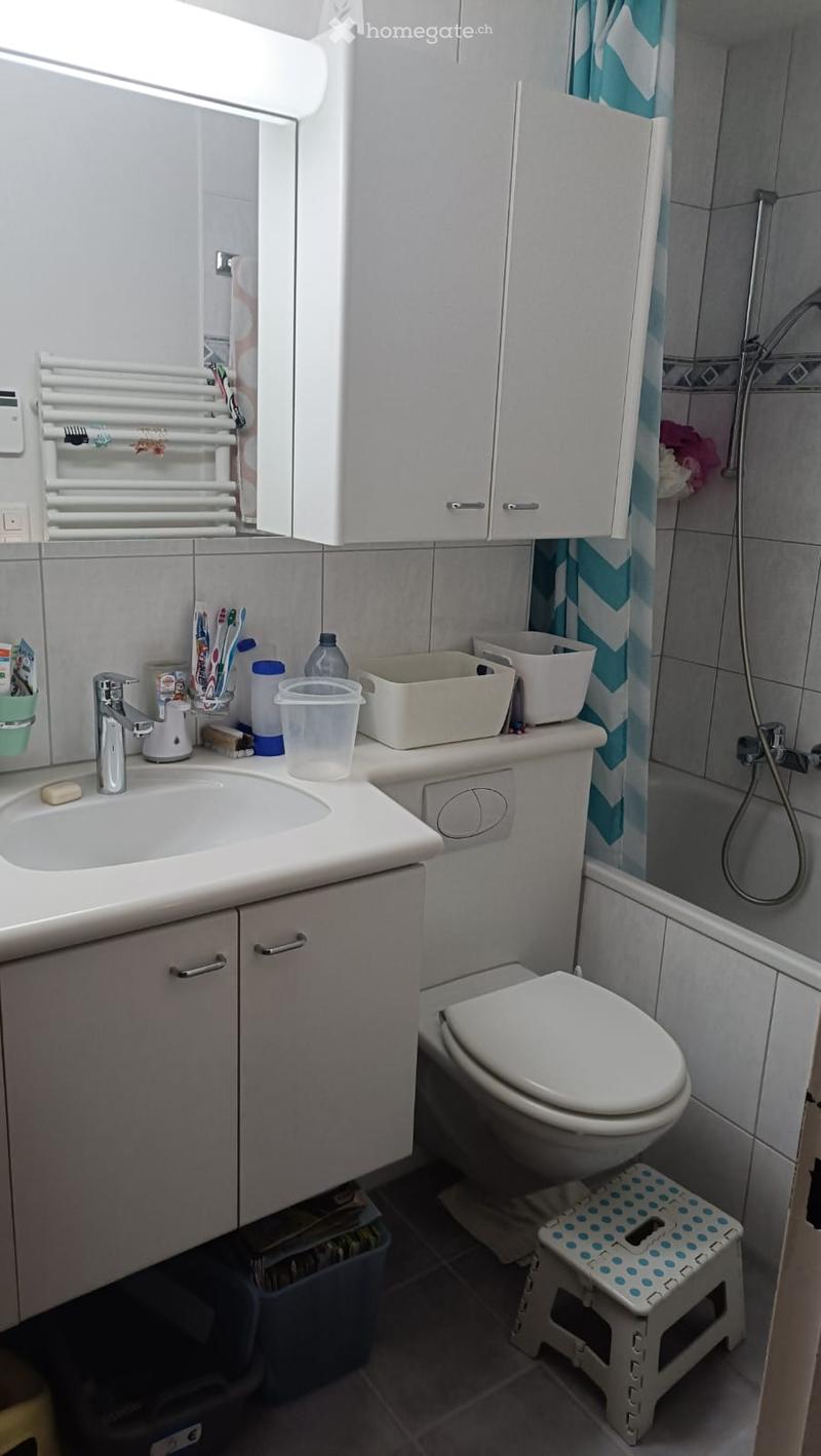 Modern bathroom with white cabinets, a sink, a toilet, a shower area with a blue and white striped curtain, and a small step stool. The sink has a faucet and a mirror above it, and there are various toiletries and containers on the sink counter.