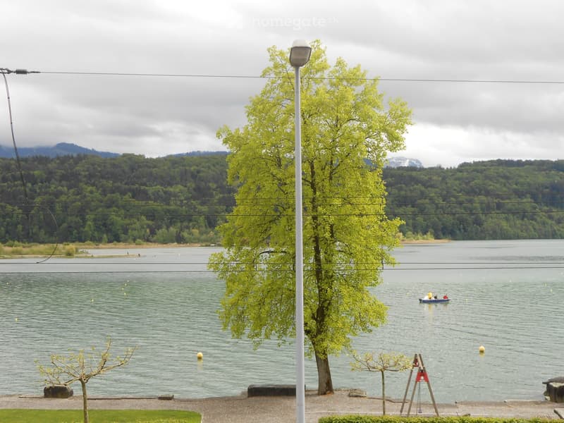 A serene lakeside scene with a large tree in the foreground, calm water, distant mountains, and a small boat with two people on it.