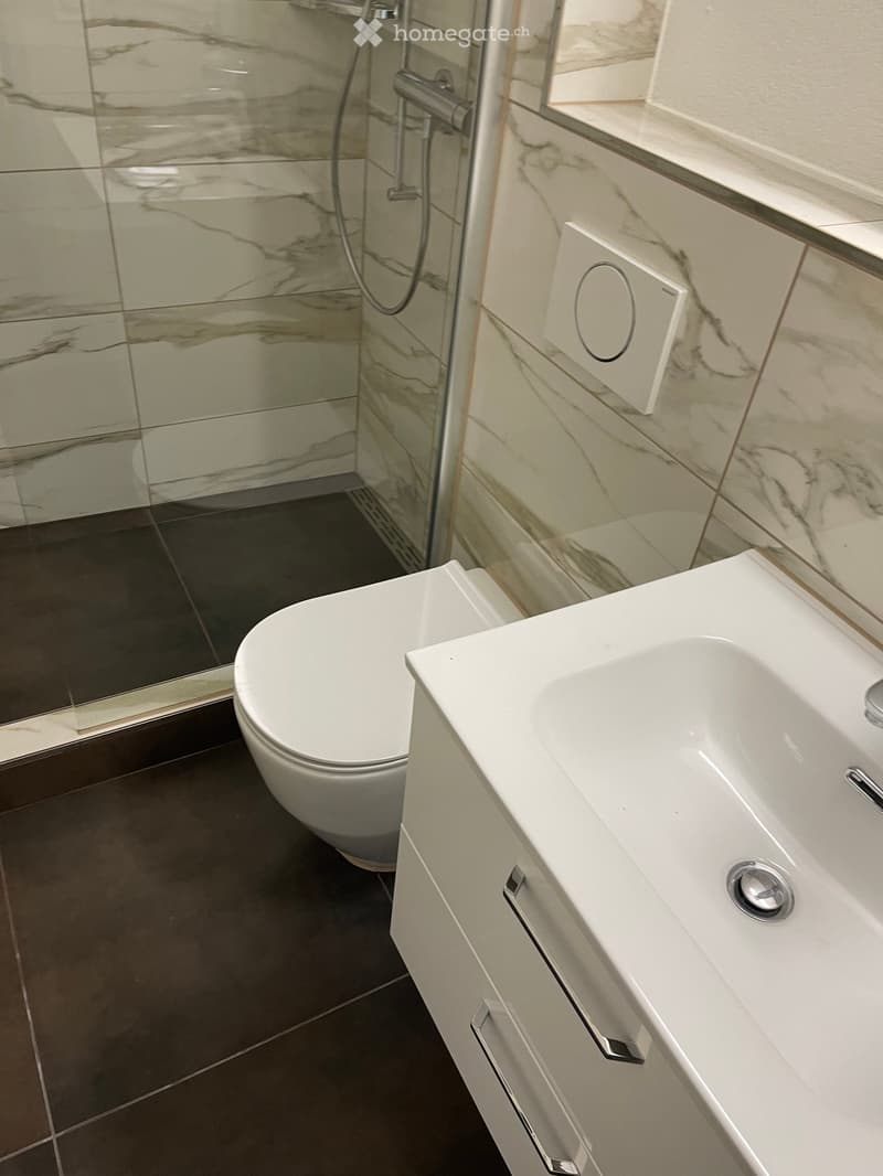 Modern bathroom with a white sink, toilet, and shower area with marble tiles.