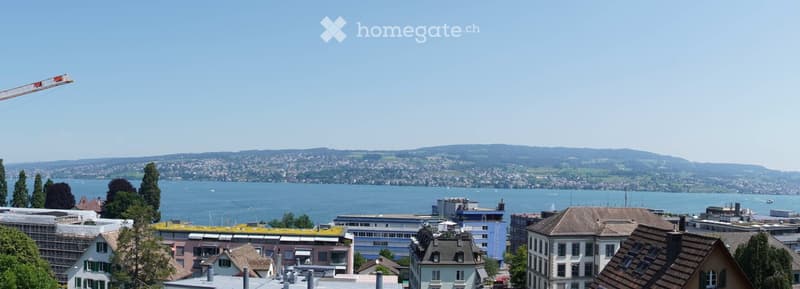 Panoramic cityscape view with lake and distant mountains, featuring a mix of residential and commercial buildings.