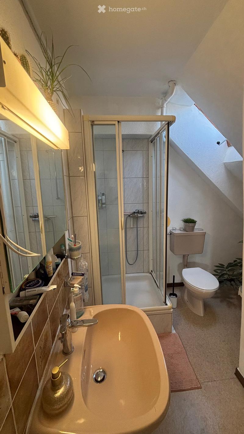 Bathroom with a bathtub, toilet, shower, and various toiletries. Features a skylight window and a small plant on the windowsill.