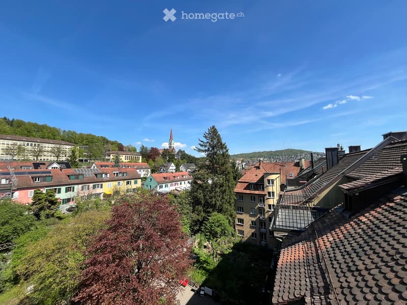 2-Zimmer-Wohnung mit Terrasse und Aussicht in Zürich-Wipkingen (6)