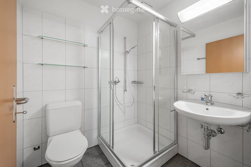 Modern bathroom with white tiles, a glass-enclosed shower, a toilet, a sink with a mirror, and glass shelves.