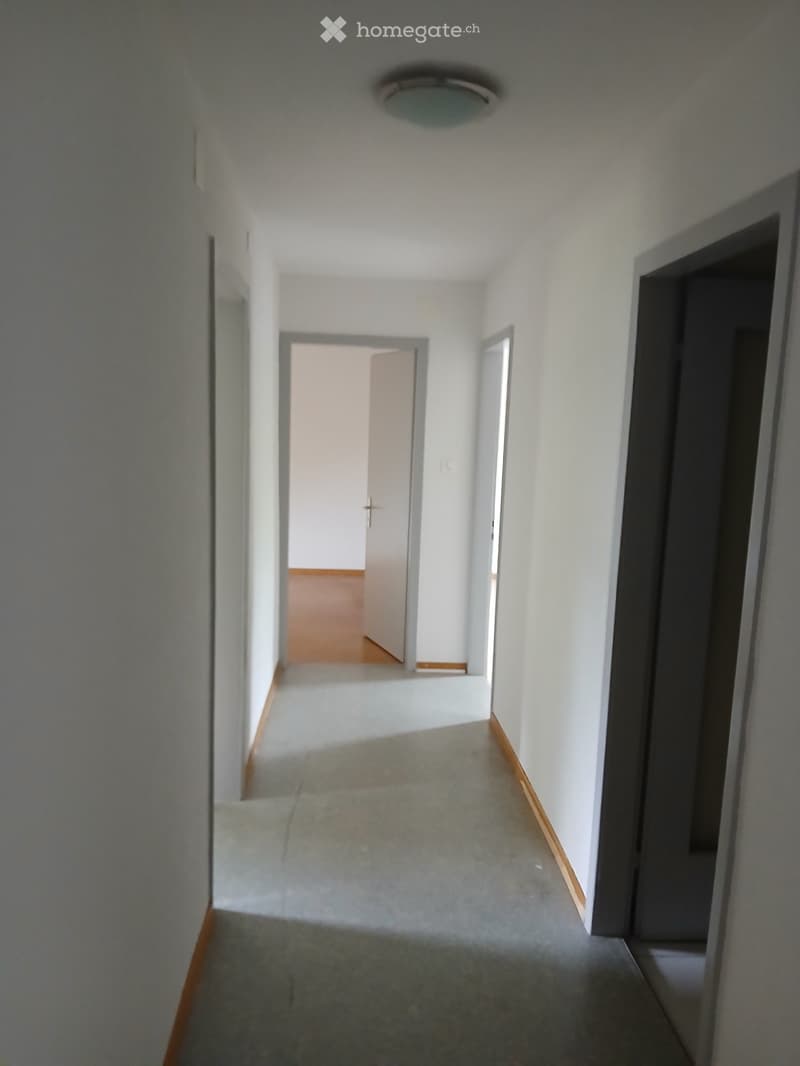 Empty hallway with white walls, carpeted floor, and several open doors leading to other rooms.