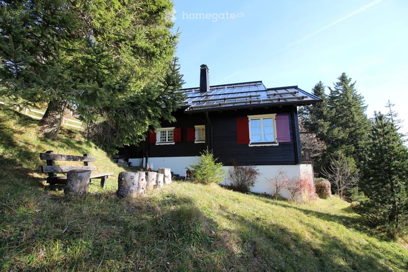 A two-story wooden house with dark exterior and red shutters, situated on a grassy slope surrounded by tall evergreen trees. The house features a solar panel roof and a small bench near the entrance.